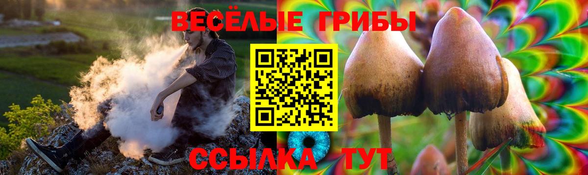 Клин  Галлюциногенные грибы Magic Shrooms  Вход с VPN 